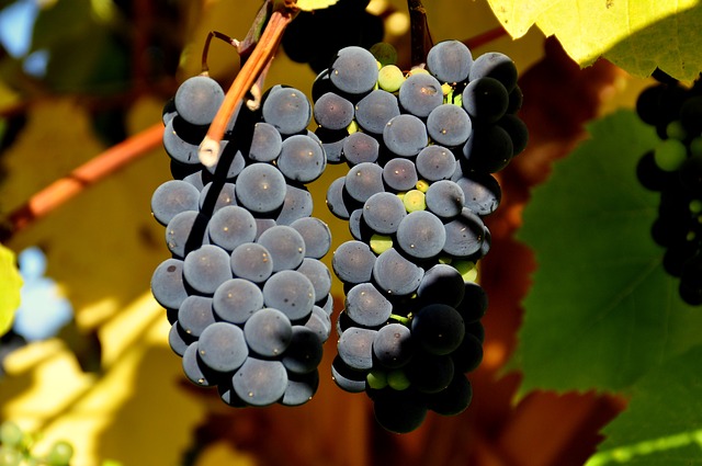 Boletín de vigilancia de marcas de vino Abril 2014